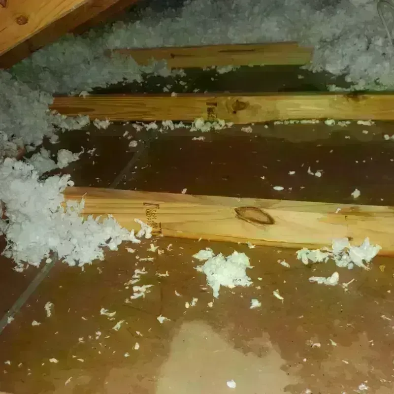 Attic Water Damage in Appanoose County, IA